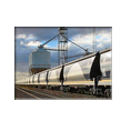 CGAY Grain Hopper Fleet for CFCLA